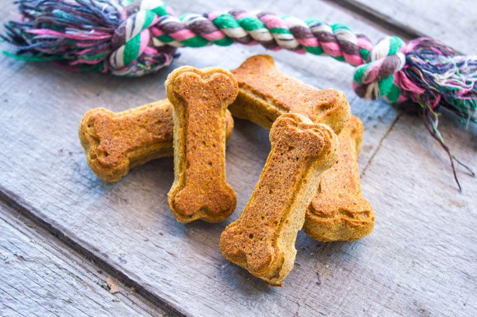 Homemade Dog Treats With Baby Food