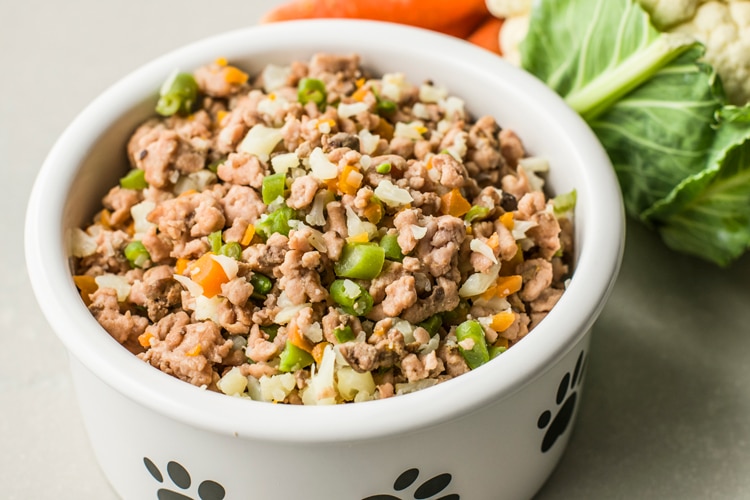 Homemade Dog Food Recipe